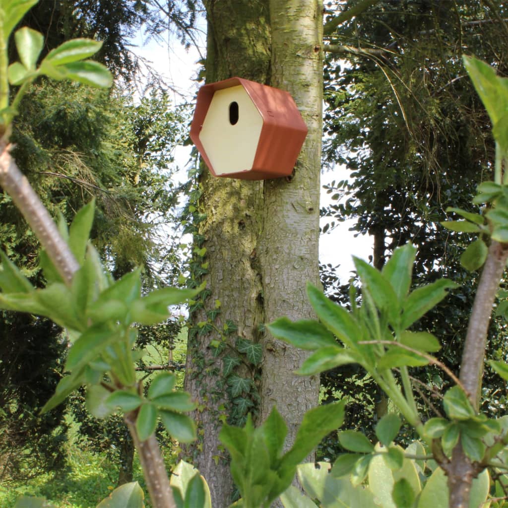 Capi Vogelhäuschen Hive 1 19X23X20 Cm Loch