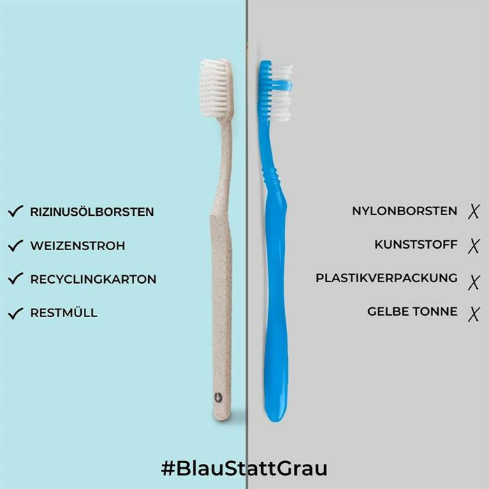 Zahnbürsten 6er Set aus Weizenstroh